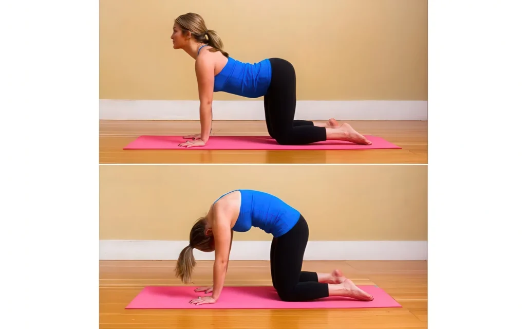 Йога: Поза кошки-коровы (Marjaryasana-Bitilasana)